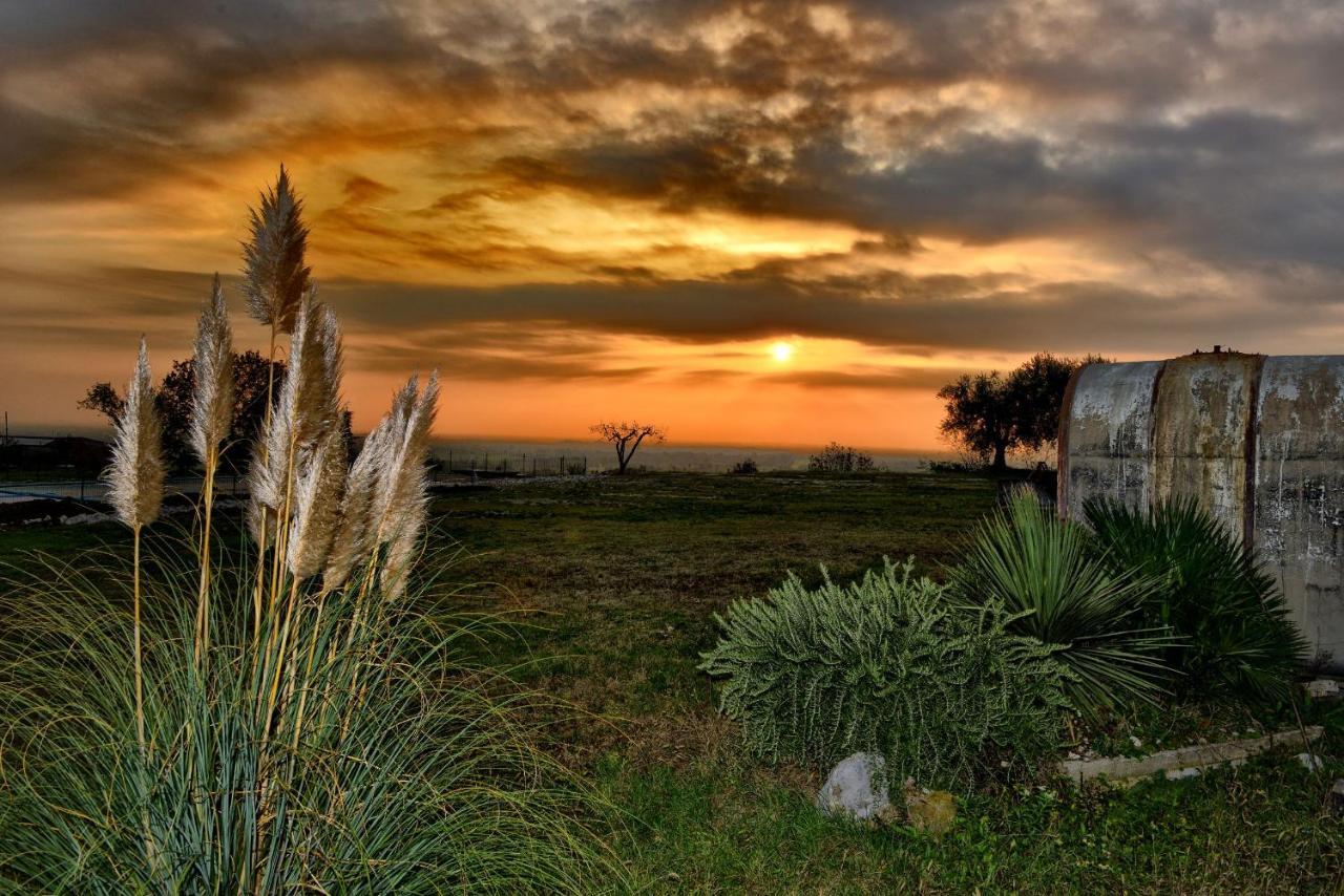 Agriturismo La Guarda Picedo ภายนอก รูปภาพ