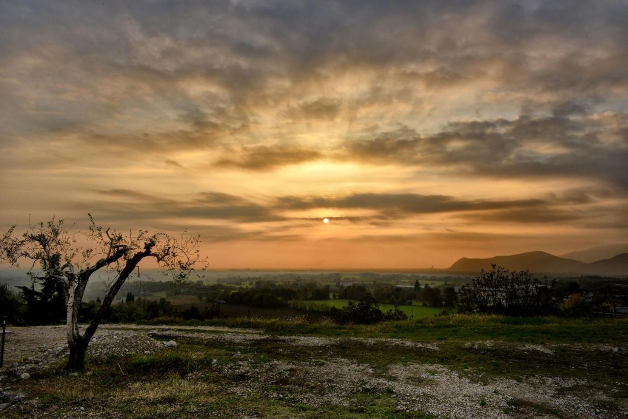 Agriturismo La Guarda Picedo ภายนอก รูปภาพ