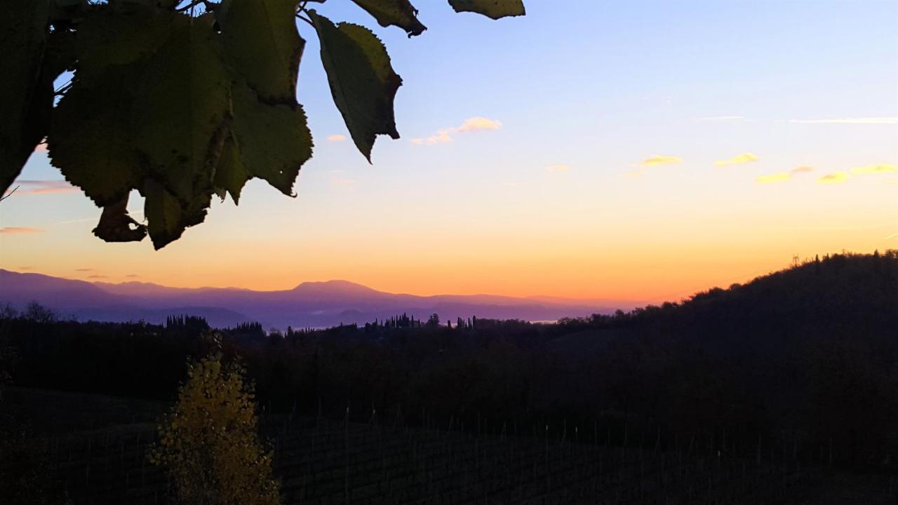 Agriturismo La Guarda Picedo ภายนอก รูปภาพ