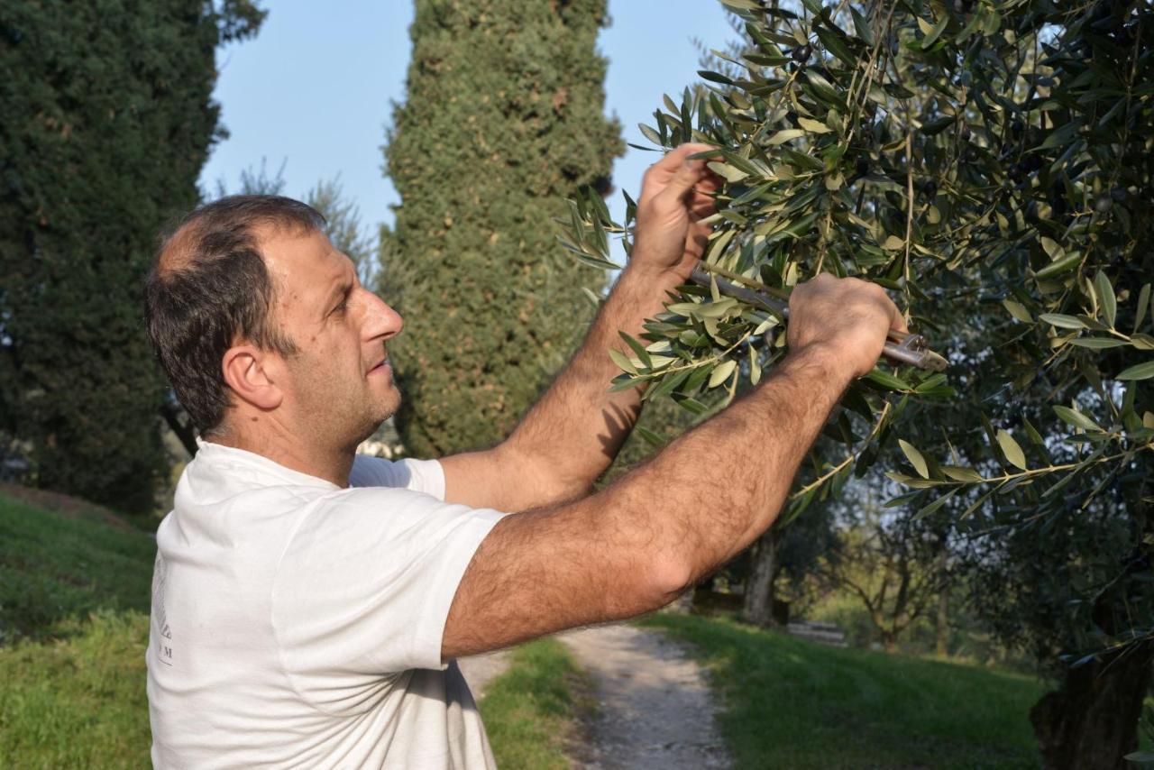 Agriturismo La Guarda Picedo ภายนอก รูปภาพ