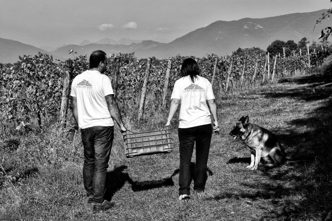 Agriturismo La Guarda Picedo ภายนอก รูปภาพ