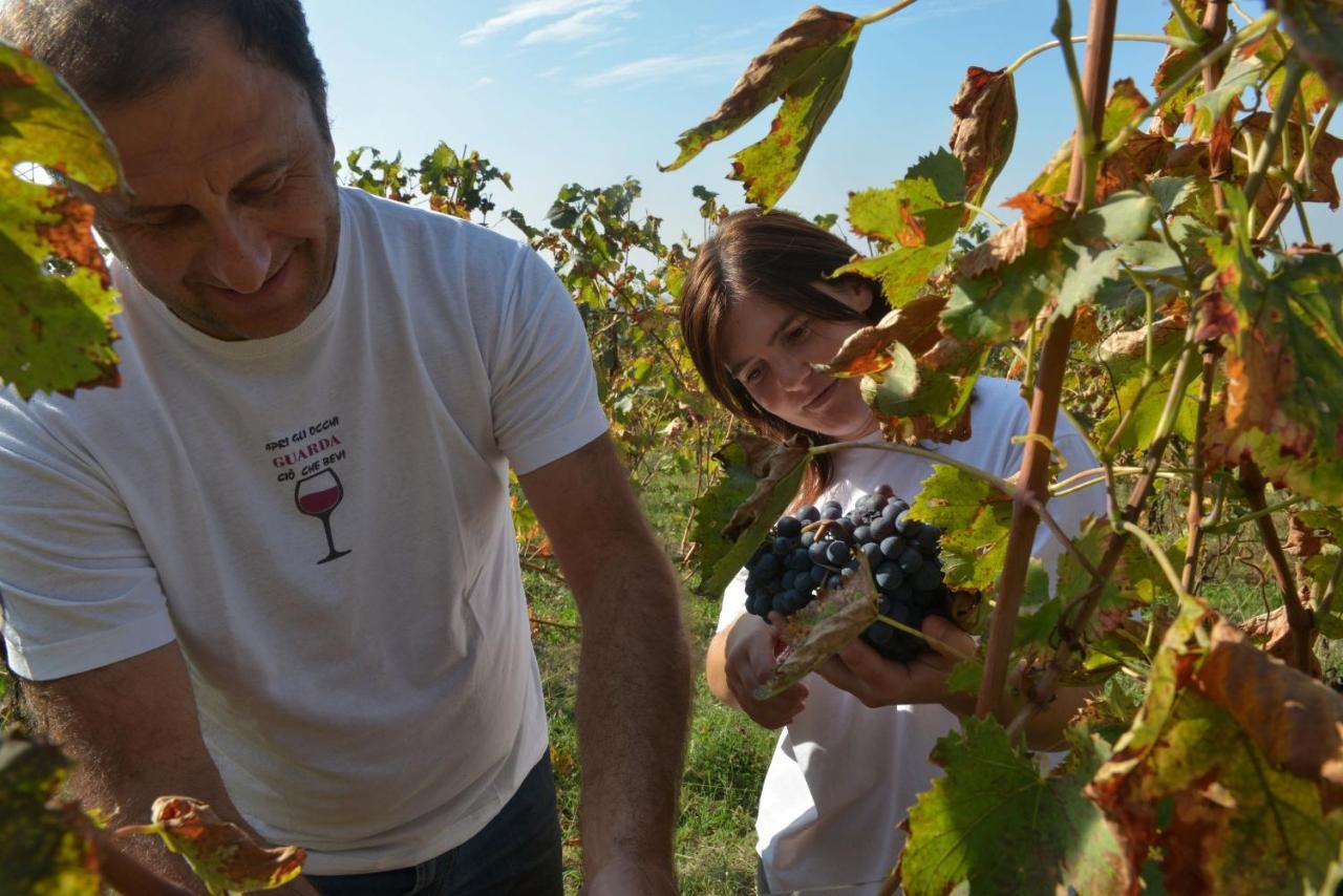 Agriturismo La Guarda Picedo ภายนอก รูปภาพ