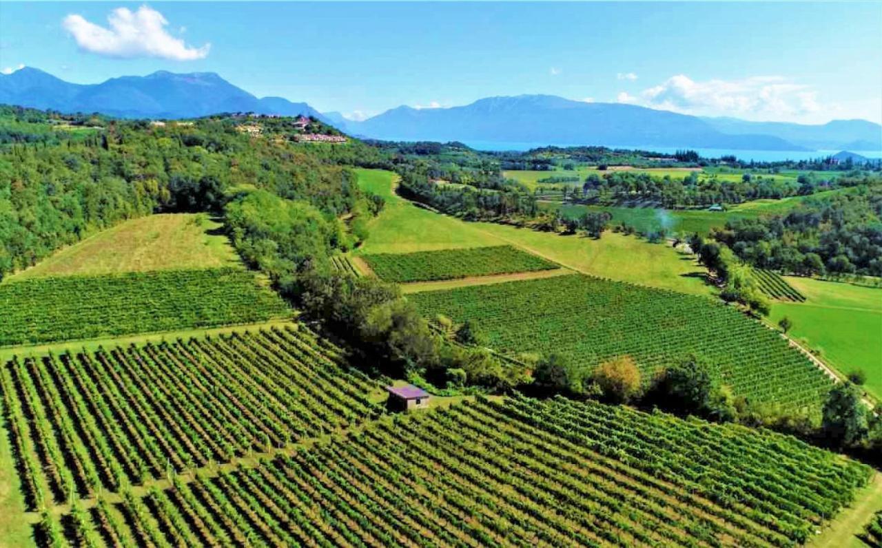 Agriturismo La Guarda Picedo ภายนอก รูปภาพ